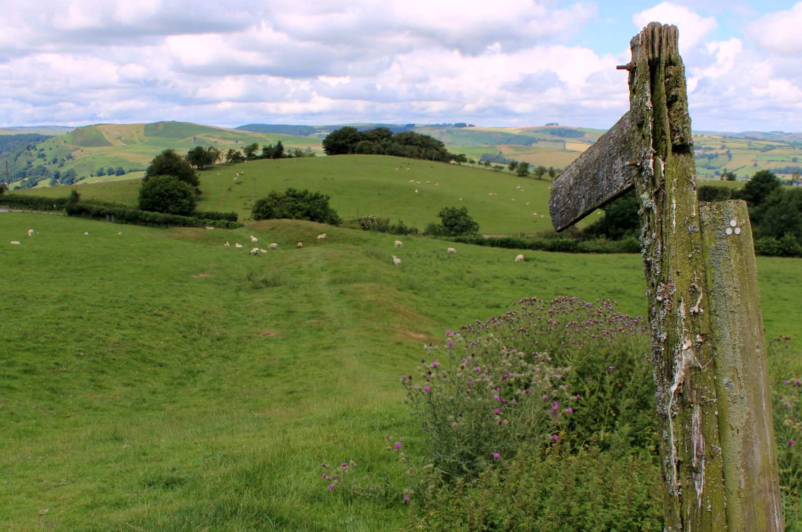 Offa’s Dyke Path Run - North Section 